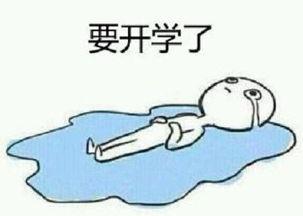表示向往的表情包,那些令人心动的向往表情包